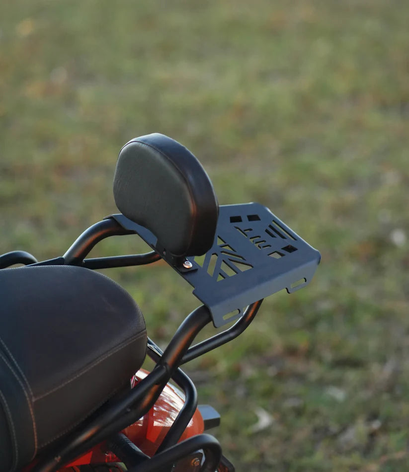 MOTO TORQUE BACK CARRIER TVS RONIN