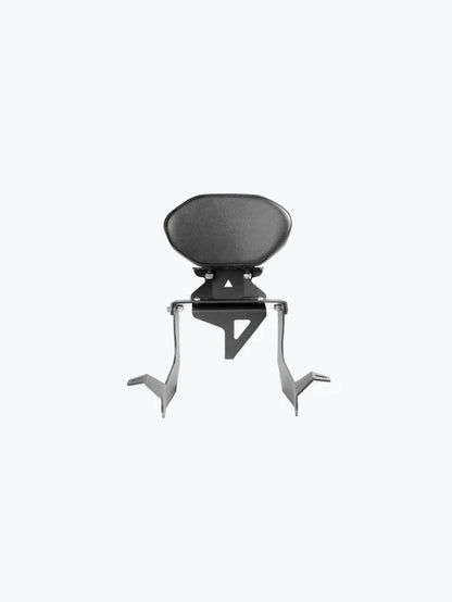 LEGUNDARY CUSTOM BACKREST HNESS 350